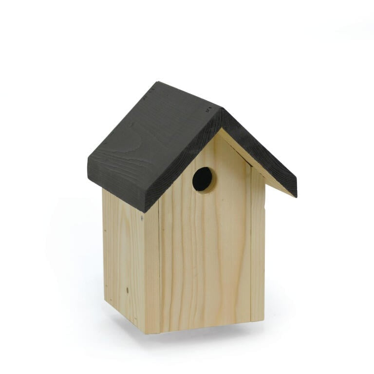 Fågelholk, småfågel